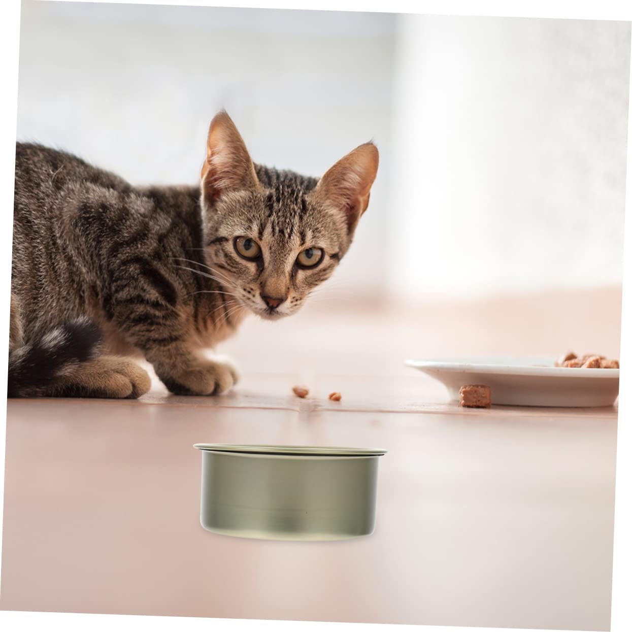 Yardwe 12Pcs Food Grade Can Airtight Snack Preservation Tins with Lids for Storing Cookies Cat Food and Holiday Treats Festive Design