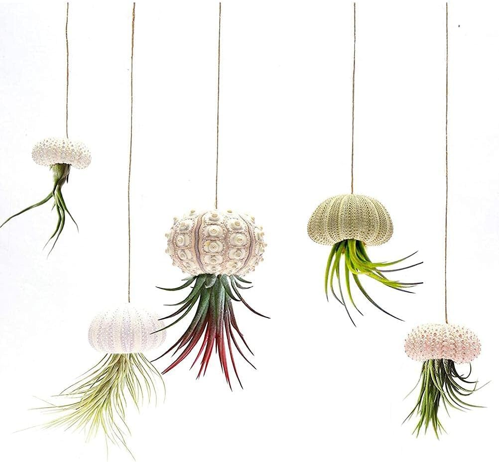 Lot De 5 Pots De Fleurs Suspendus En Métal - Décoration Pour Jardin