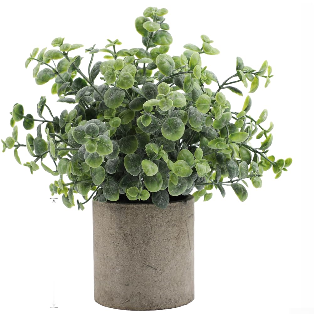 Planta de eucalipto decorativa para interiores con textura realista