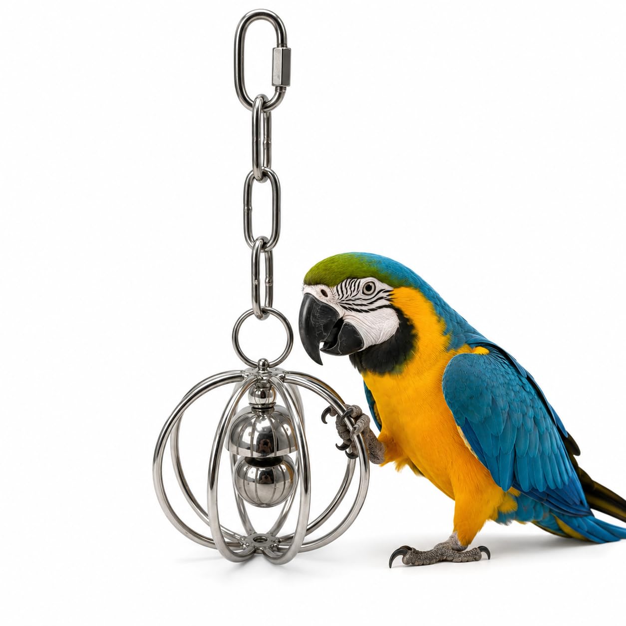 Stainless Steel Parrot Bell Toy for Medium to Large Birds