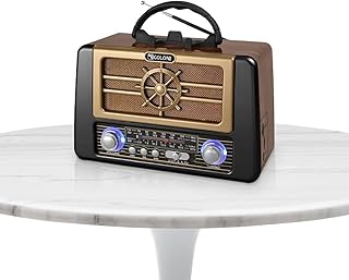 Radio - FM/AM/SW with USB/TF Music Player, Bluetooth, TWS Stereo, RX-8080BT (Black)