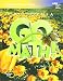 Houghton Mifflin Harcourt Go Math! California: Practice Workbook Grade 5