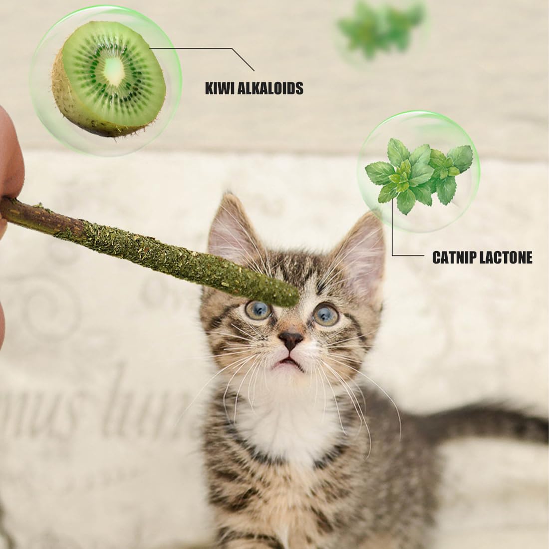 12 Pezzi Bastoncini di Erba Gatta Matatabi per Pulizia Dentale e Alito Fresco, Giocattolo Naturale Sicuro per Gatti