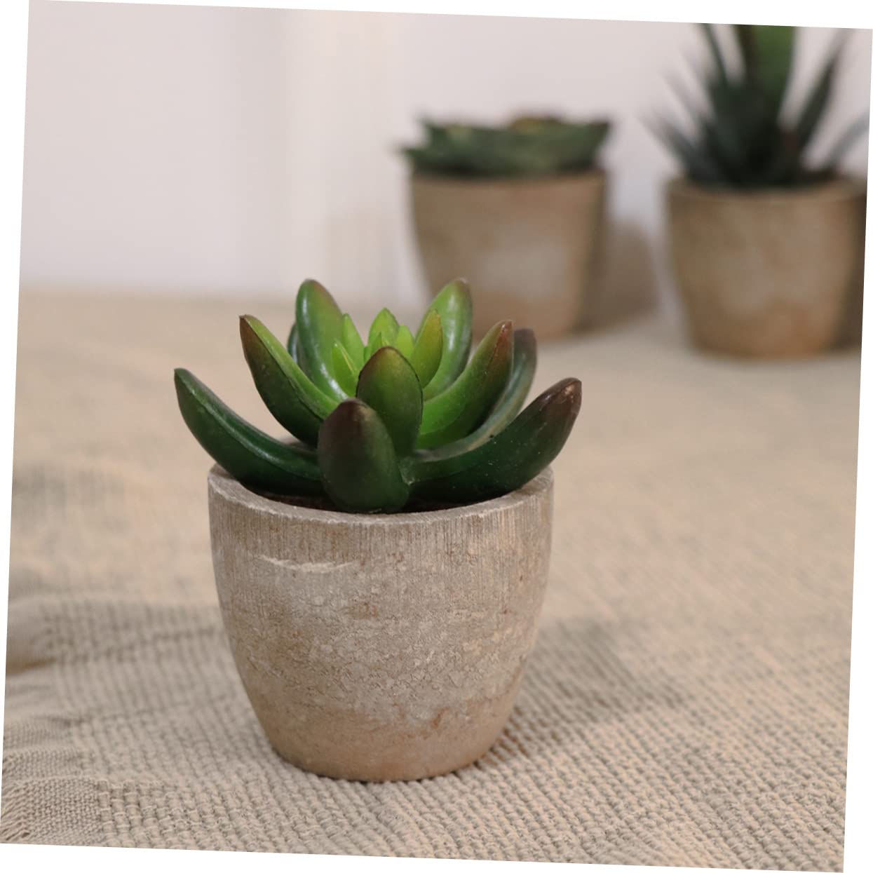 Künstliche Sukkulentenpflanze 5 Stück Packung Retro Bonsai Deko im Topf