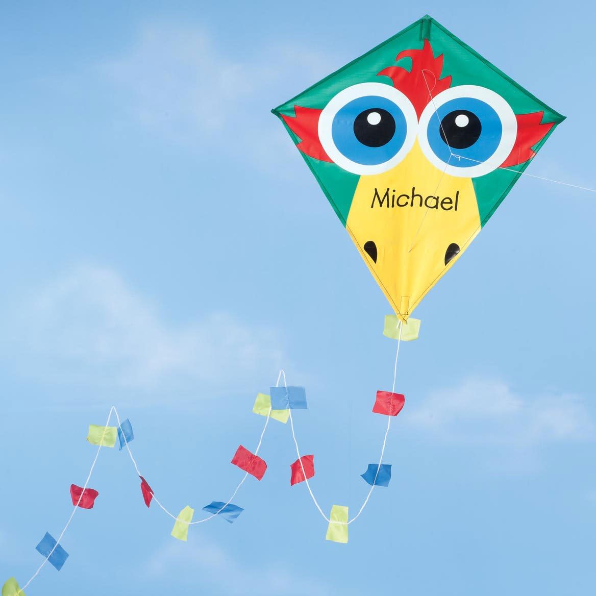 Miles Kimball Custom Children’s Bird Kite, Colorful Kite with Custom Name for Kids