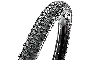 Maxxis Aggressor EXO/TR Tire