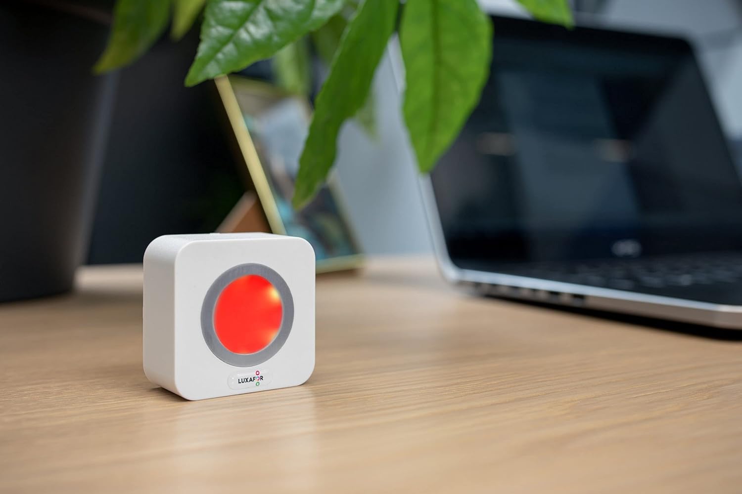 Cube Standalone LED Availability Indicator That Displays Meeting Room Availability Busy Light Do Not Disturb Light