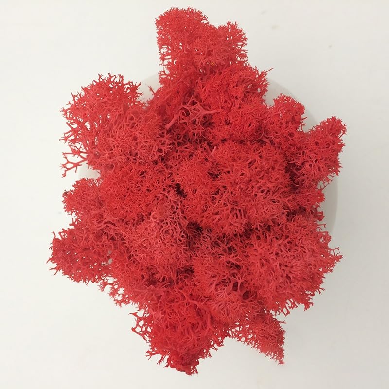 Simulación Artificial de Musgo Verde, Vida eterna, Hierba de Musgo, Planta Falsa for decoración de Pared del hogar, Material de Paisaje de jardín, Entrega de Regalo(Red,500g)