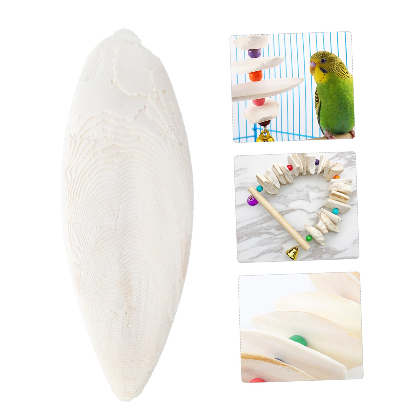 POPETPOP 24stücke Cuttlebone Kauspielzeug Für Haustiere Zahnpflege Und Training Für Hunde Katzen Papageien Und Andere Kleintiere Sicheres Und Natürliches Material