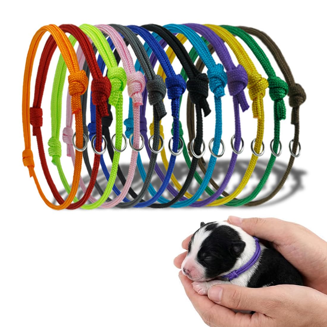 Collares básicos para perros,Paquete de 12 collares para cachorros, collares de parto para perros pequeños/cachorros, adecuados para gatitos recién nacidos, collares de poliéster suave.