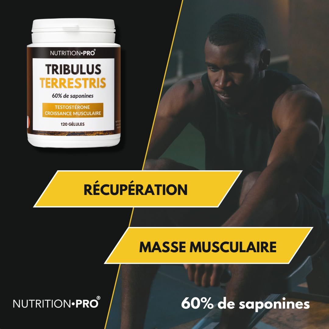 Tribulus Terrestris - 120 gélules | Hautement dosé en saponines (90%) | Croissance Musculaire | Musculation | Fabriqué en France | Nutrition pro