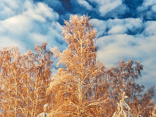 17" X 22" Cold Press Watercolor Fine Art Inkjet Paper - 25 Sheets #TOP2