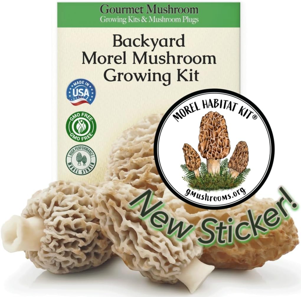 Morel Habitat Growing Kit