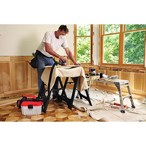 PORTER-CABLE 20V MAX Random Orbital Sander, Cordless, 5-Inch, Tool Only (PCCW205B)