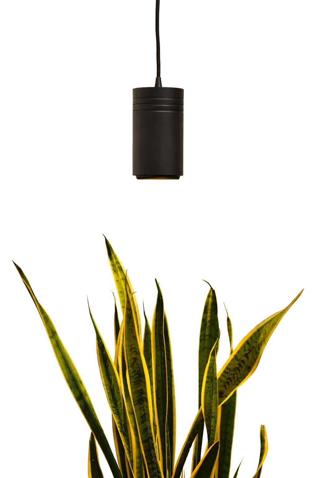 Aspect Soltech Gen 2 – World’s First Decor Grow Light | Black High-Output LED Pendant Grow Light for Indoor Plants | Warm White, Natural Light | Dimmable