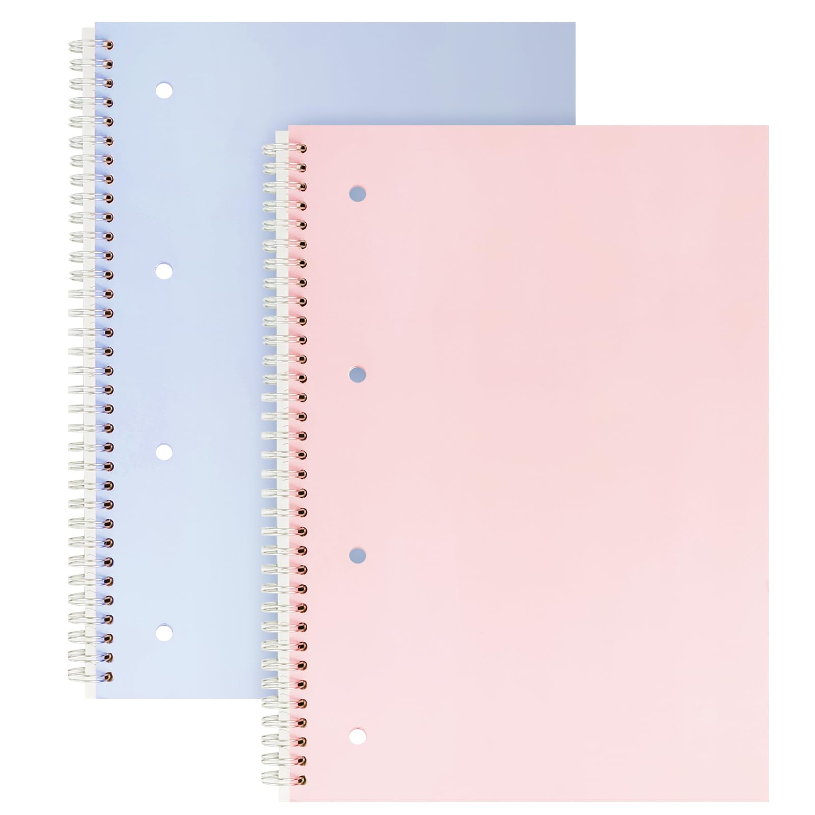 RITOLLO 2-Pack A4 Wirebound Notebooks, 160 Pages, Nude Pink & Purple