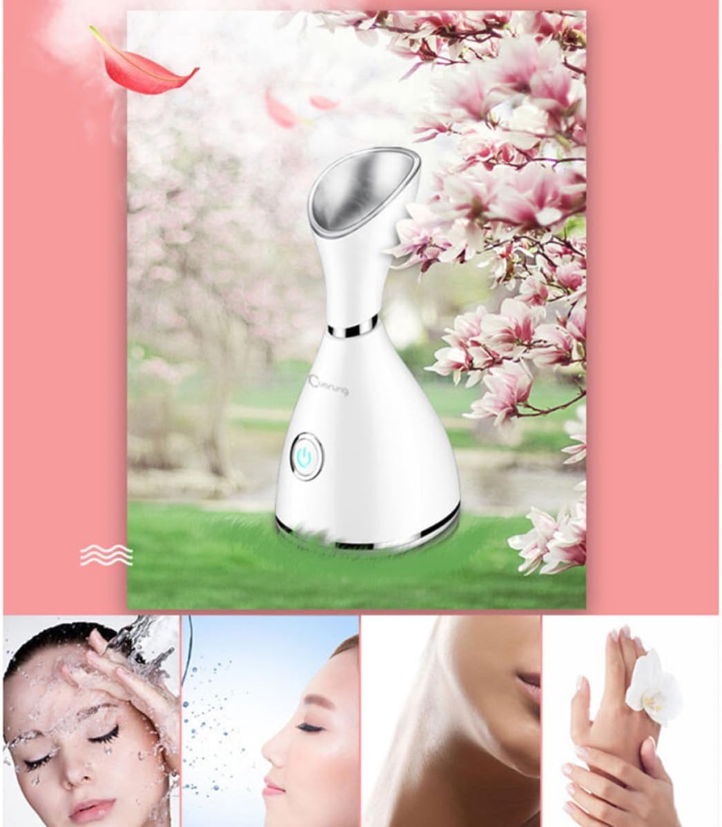 Beauty Steaming Face Instrument Ac110v White ABS Nano Steam