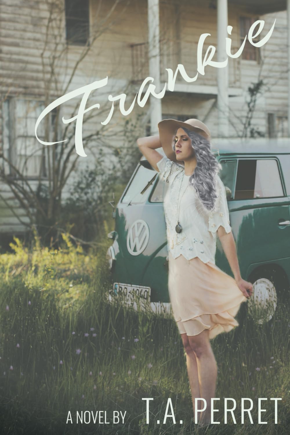 Frankie: The Holly Springs Book Series: 1