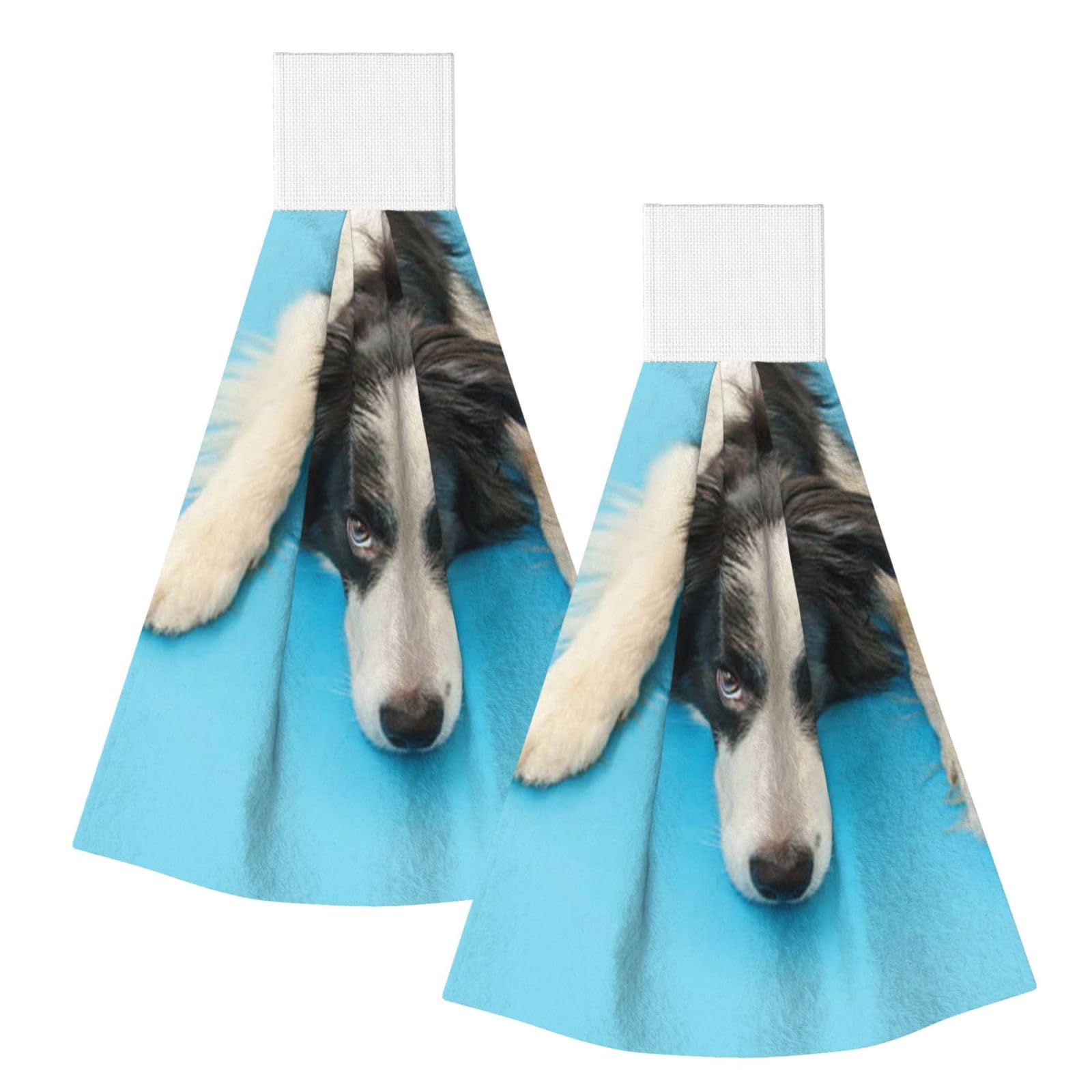 DOPKLNA Funny Puppy Dog Border Collie Blue Background, 2 Pcs Hanging Coral Fiber Hand Towels for Bathroom, Absorbent Kitchen Towels