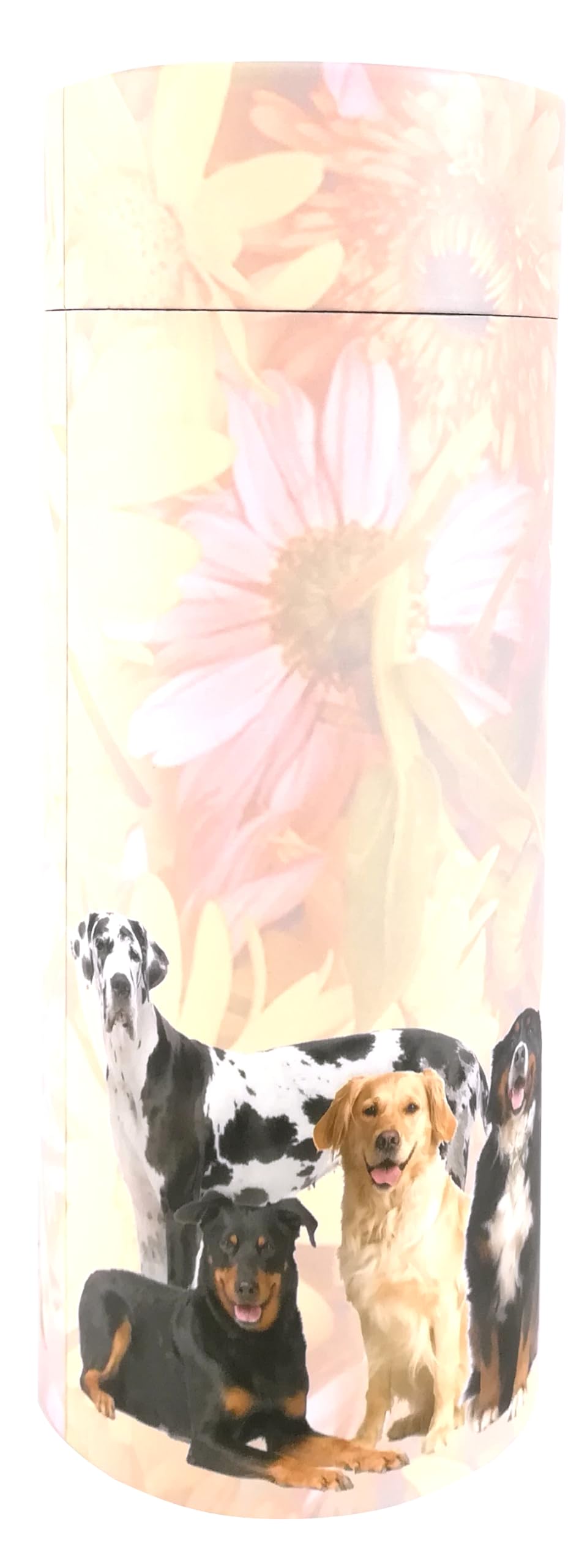 Dog Pet Scatter Tubes for Adult Ashes – Biodegradable Cardboard Cremation Urns (Extra Small)