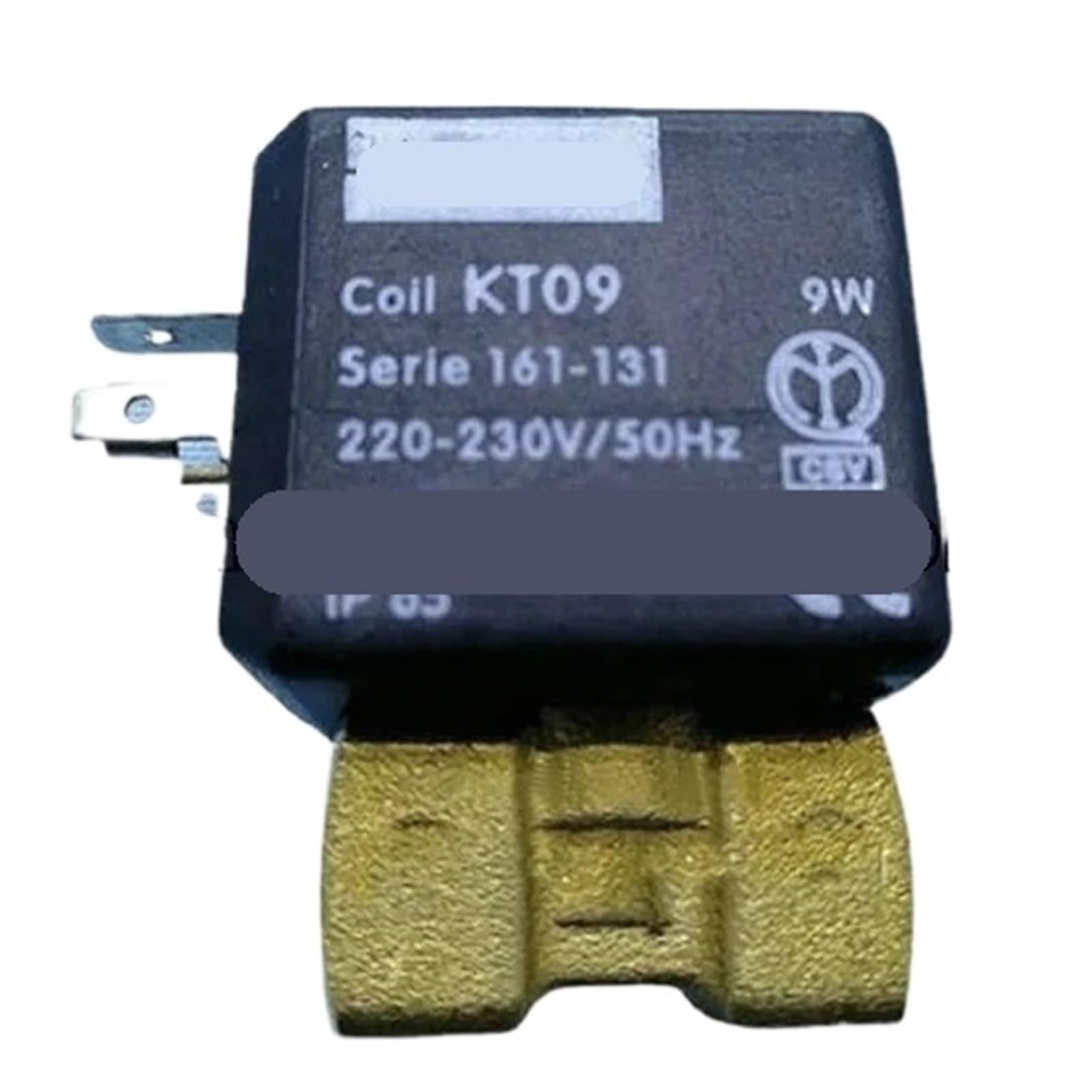 Ylpwkmvz One Color 1/8 Inch Kt09 Solenoid Valve Ve131iv 9W Coil 220-230V/50Hz