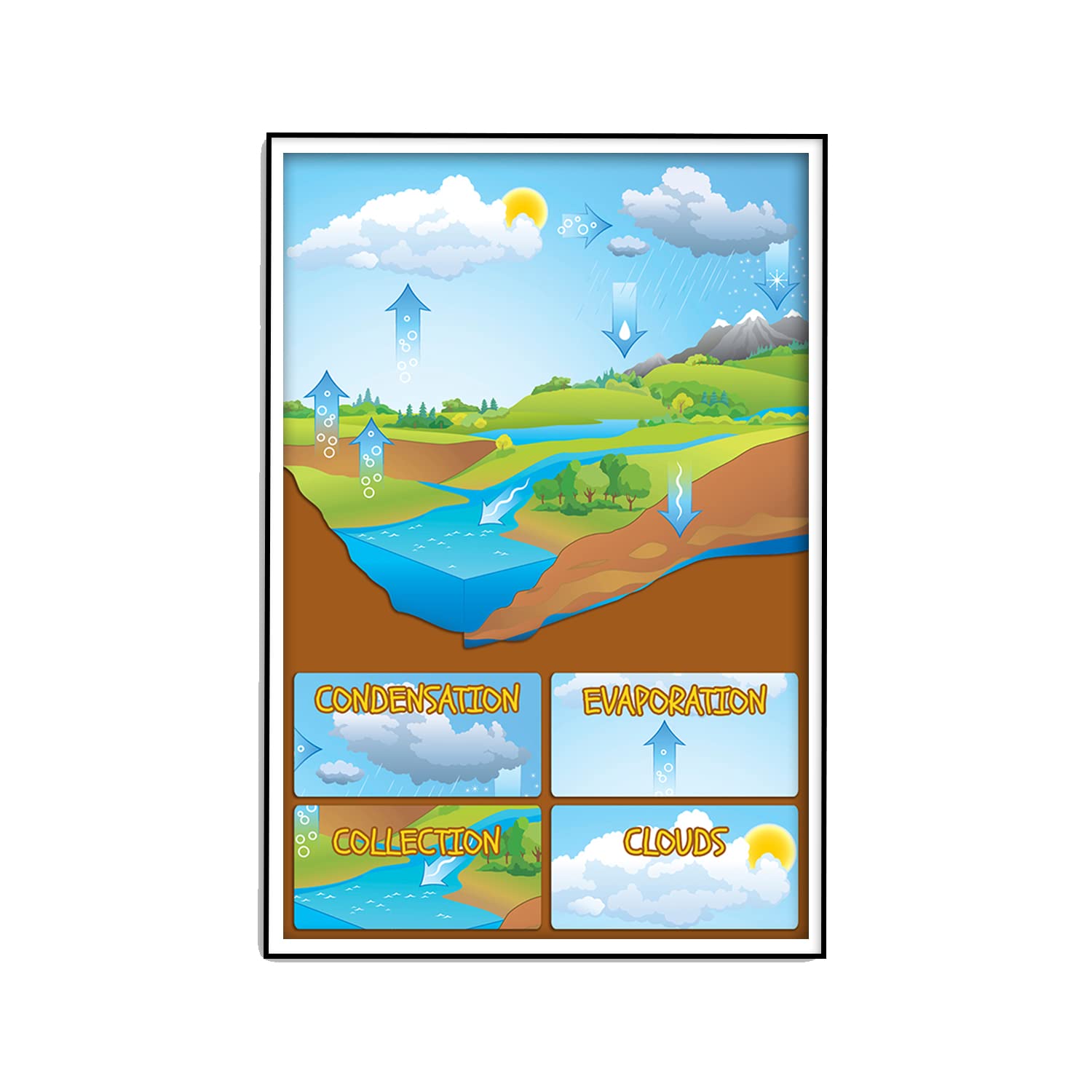 Artist Unknown The Water Cycle - Science Classroom Decorations - 12-Inch by 18-Inch - Science Supplies for Classrooms - for High School, Middle School, Elementary CPS052