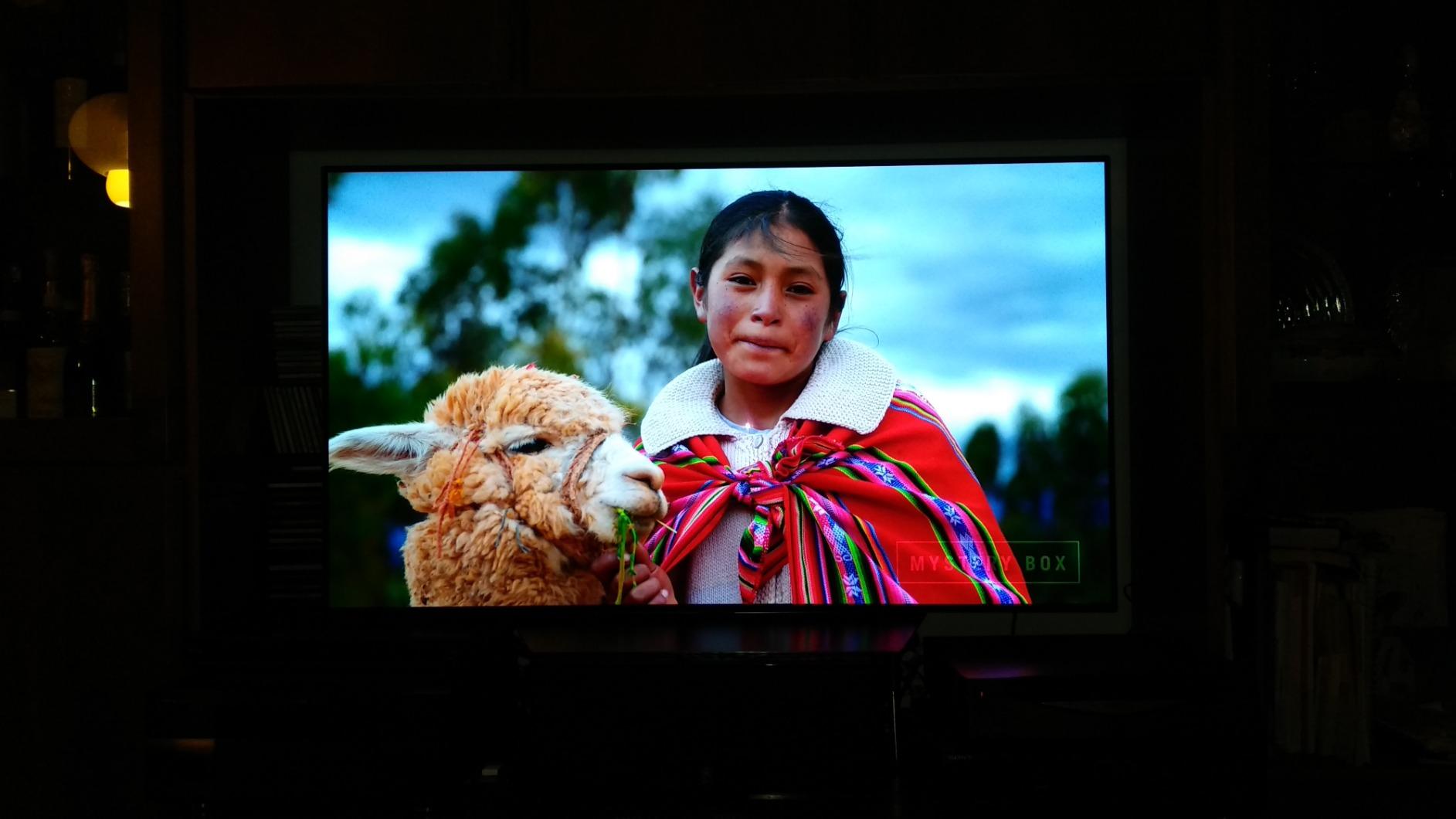 Immagine del cliente