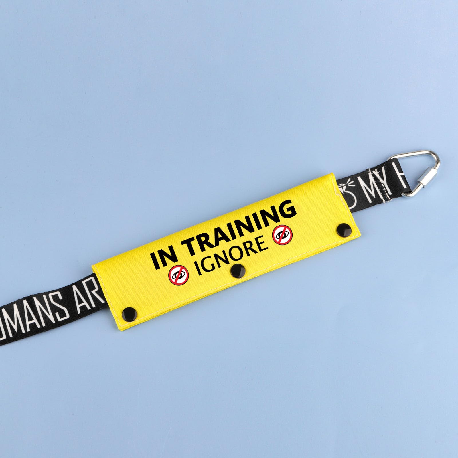 Funny Dog Leash Sleeve – 'Learning Please Ignore Us' Leash Wrap For Training & Pet Alert