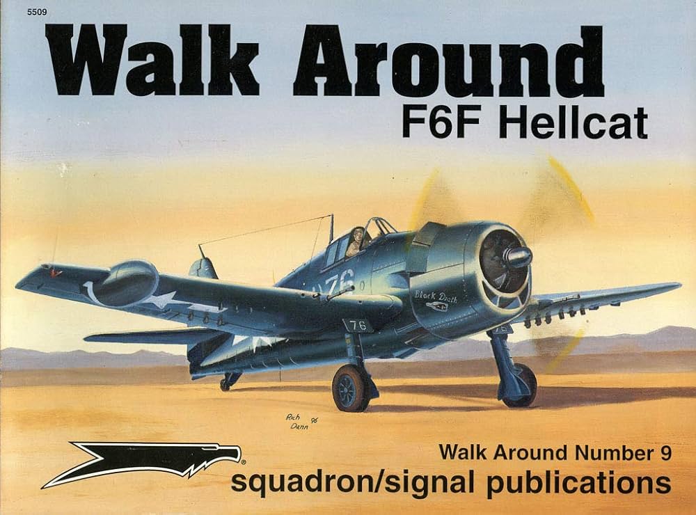 F6F Hellcat - Walk Around No. 9: LCDR Richard S. Dann, USNR, Don