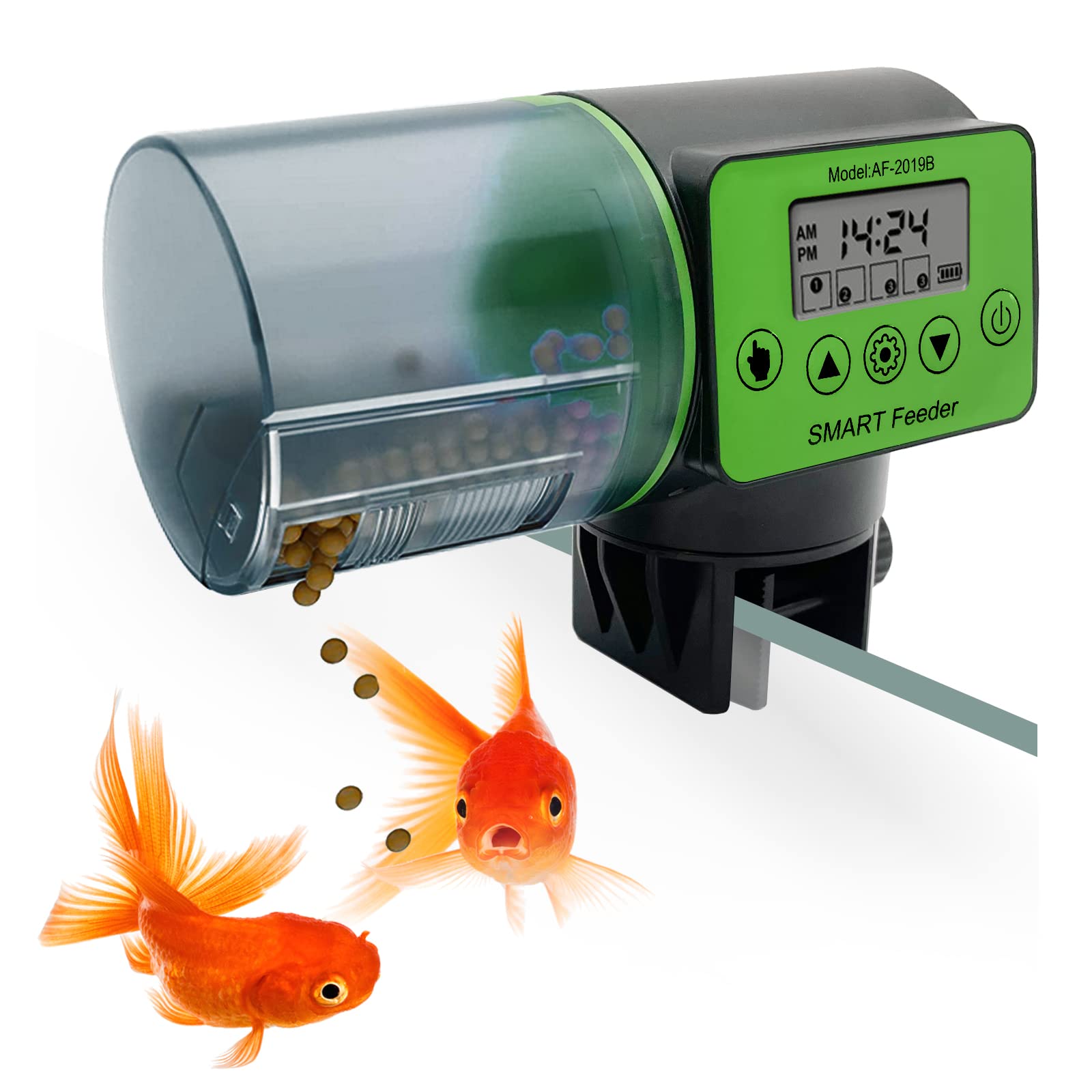 Fish Timer Fish tank food timer online