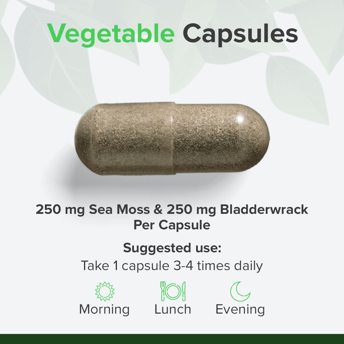 Irish Sea Moss Kapseln mit Blasentang – 180 vegane Kapseln – Nährstoffreiches Superfood – 45–60 Tage Vorrat – Ohne Zusatzstoffe – Hergestellt in der EU – RAW Powders