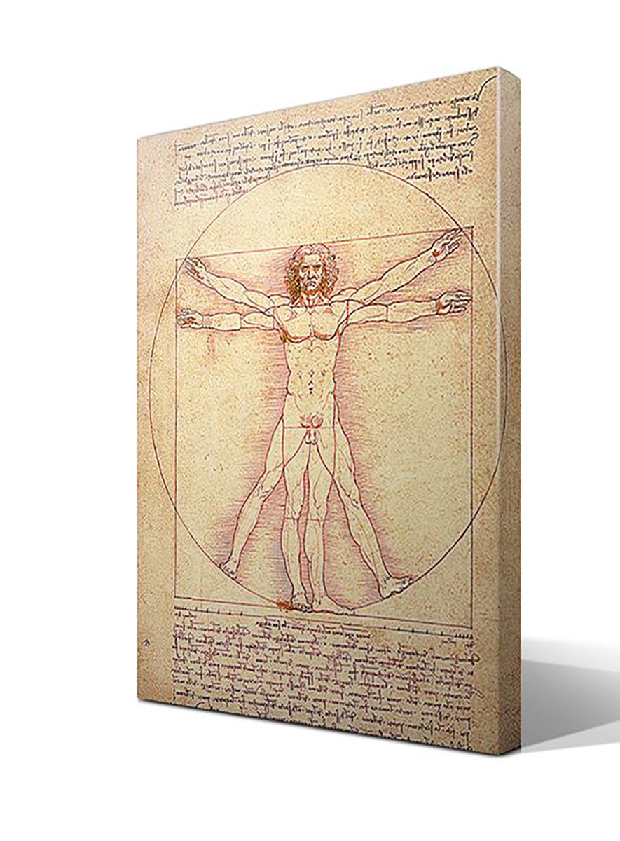 El Hombre de Vitruvio | Leonardo Da Vinci | Renacimiento | Cuadro Canvas Wall Art | Impresion Giclee lienzo algodon puro | Bastidor 3cm | 55x75cm