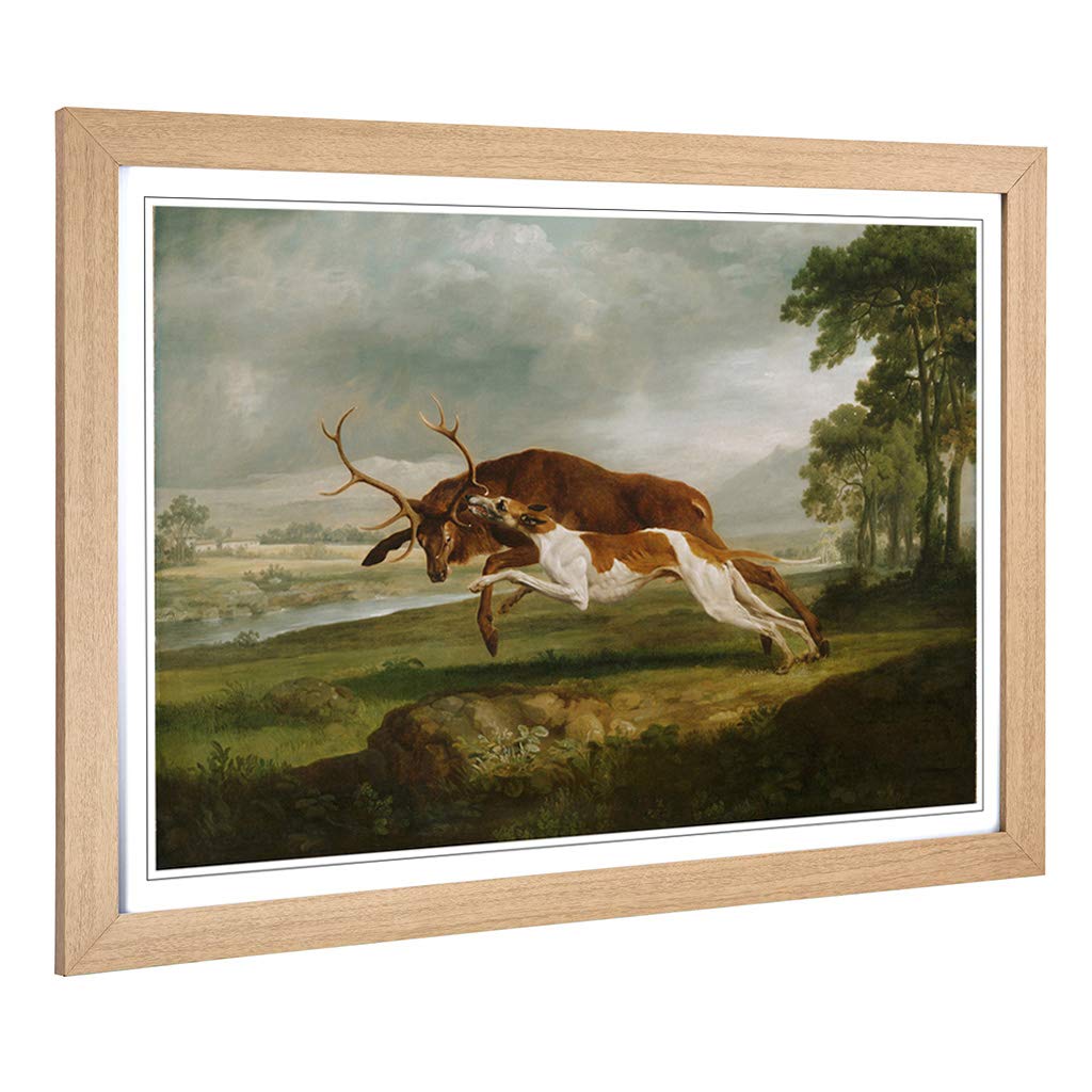 Big Box Art Framed Print of George Stubbs English Hound with a Stag Design | Wall Art Picture | Home Decor for Kitchen, Living Room, Bedroom, Hallway, Oak, A2 / 24.5x18 Inch / 62x45cm