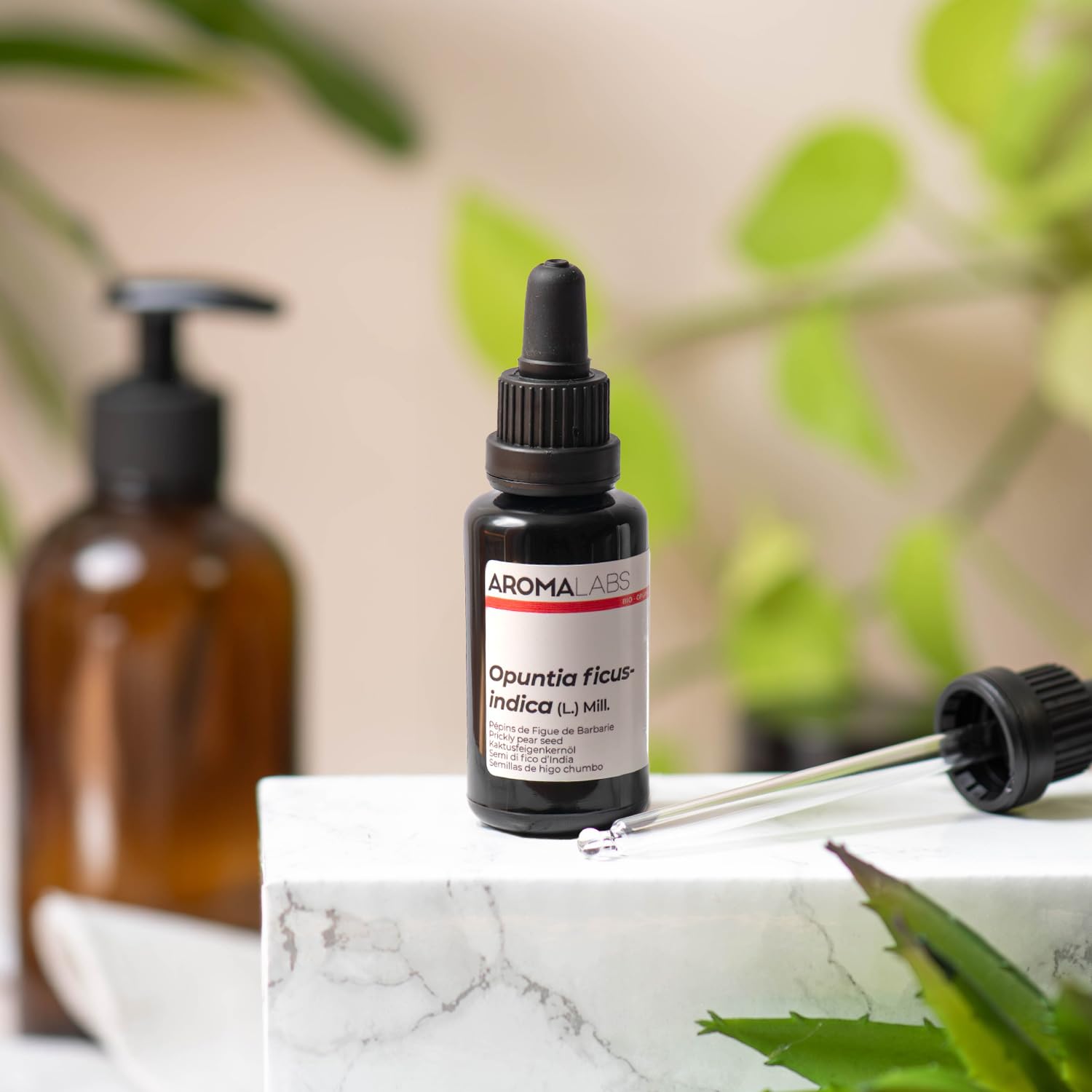 Semi di Fico d’India BIO (Opuntia ficus-indica) - 30 mL - Olio Vegetale Vergine e Certificato Cosmos - Aroma Labs - Made in France