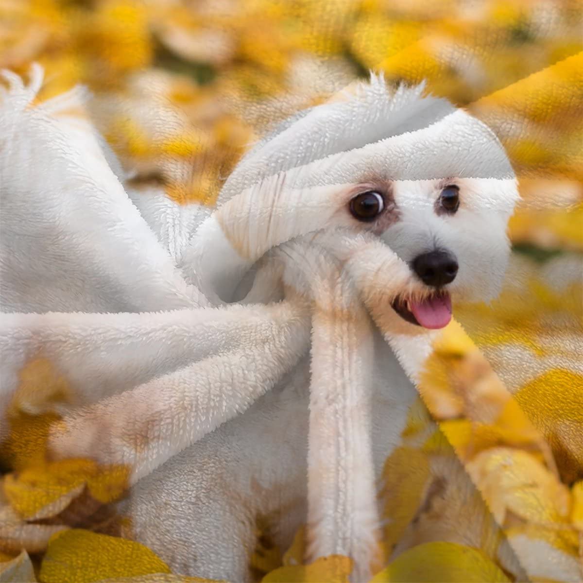 Chickwin Couverture Polaire En Flanelle, Imprimé Chien Couverture Hiver Moelleuse Chaude Couvertures Epaisse Super Doux Microfibre Pour Canapé Ou Lit (100x150cm,Berger Des Shetland