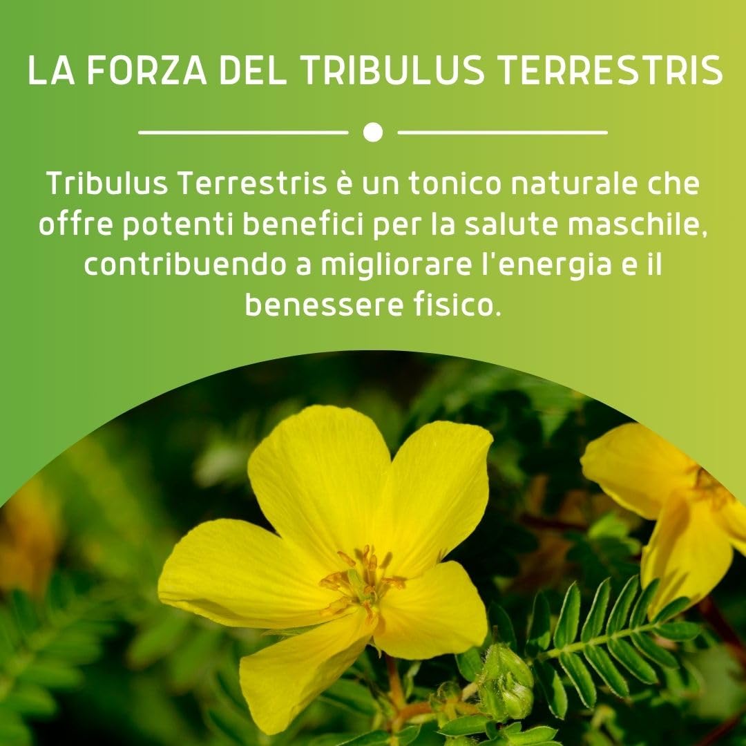 ERBEX - Tribulus Terrestris 100% Naturale, 360mg di Saponine Steroidee, Promuove il Vigore Fisico e la Vitalità degli Uomini, Migliora Resistenza e Virilità, Vegano e Senza Additivi