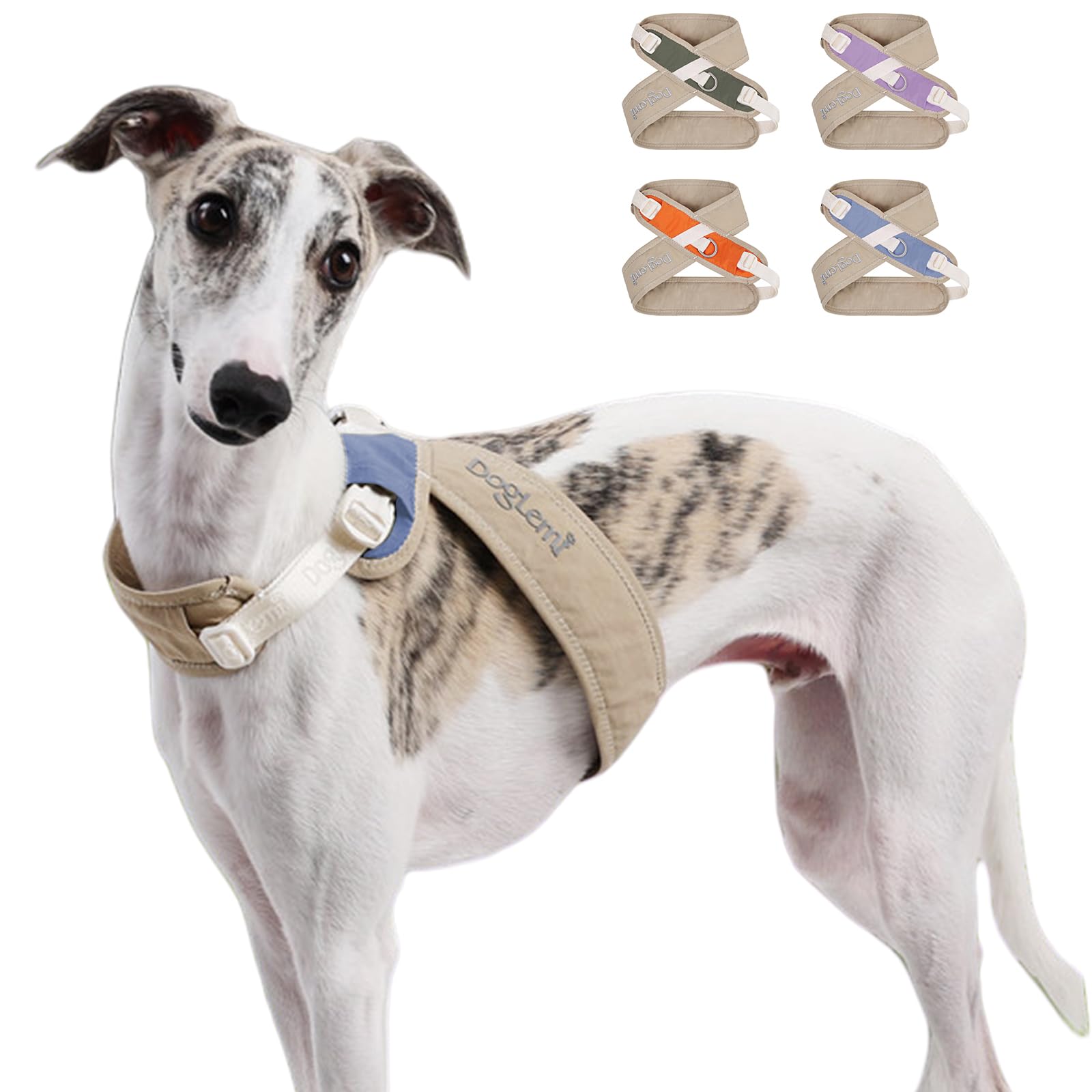 X-Back - Pettorina per cani anti-tiro, regolabile, a prova di fuga, con clip per guinzaglio posteriore, per cani di taglia piccola, media e grande che camminano (blu, M)