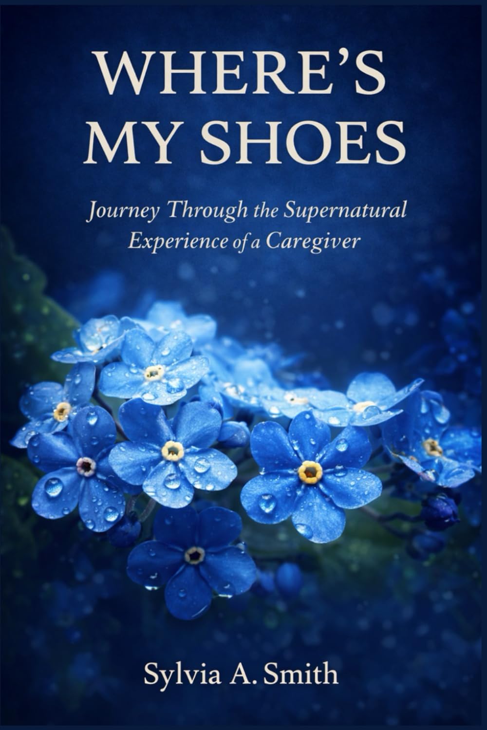 WHERE'S MY SHOES: JOURNEY THROUGH THE SUPERNATURAL EXPERIENCE OF A CAREGIVER