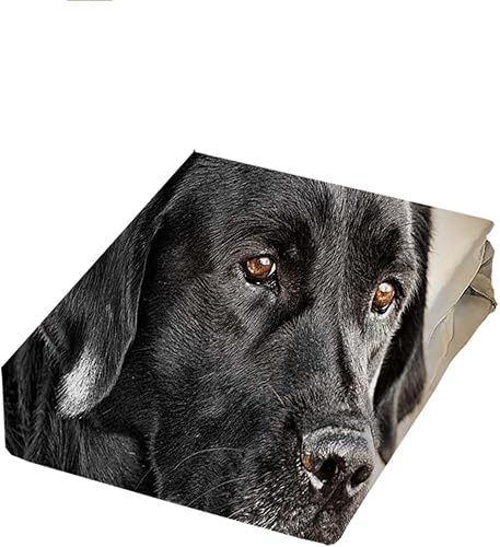 Miniatura 2 de Juego de ropa de cama de tamaño individual de labrador negro, juego de funda de edredón de microfibra suave para niños y niñas, juegos de funda de