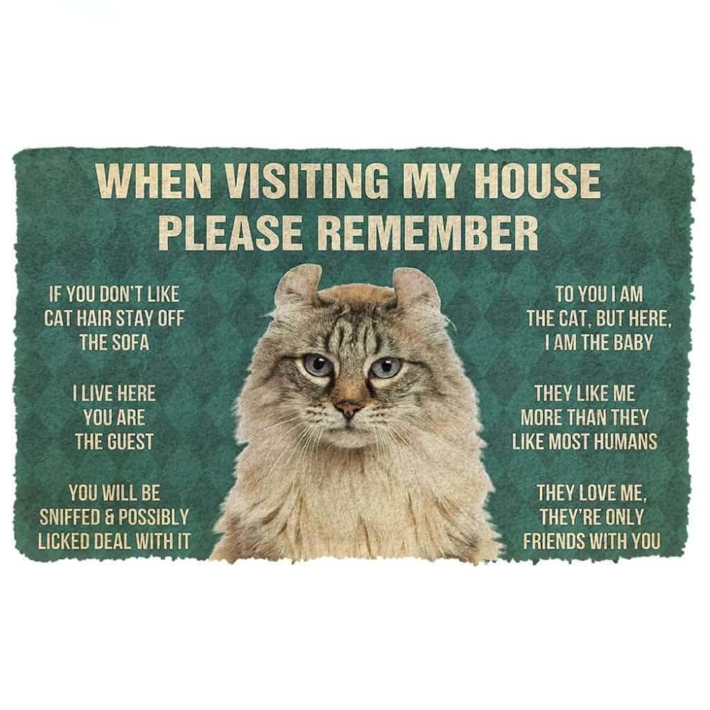 Paillasson extérieur entrée chat American Curl tapis personnalisé résistant pour la maison