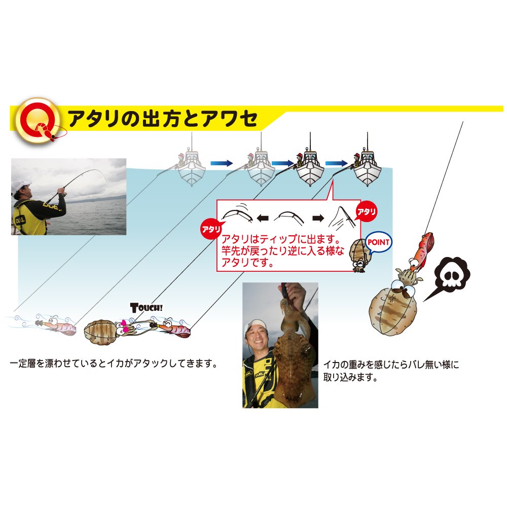 Amazon | DUEL(デュエル) ルアー エギ EZ-Q 3.5 40g LM | DUEL