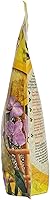 Vista 4 de Canary Bird Food, 4 lbs Bag - Seed Mix for Canaries