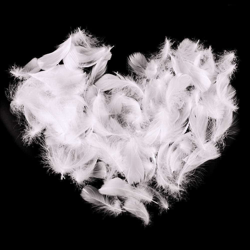 Lot De 100 Plumes D'Oie Naturelles Blanches 15,2 à 20,3 Cm - Idéal Loisirs Créatifs, Mariage Et Décoration