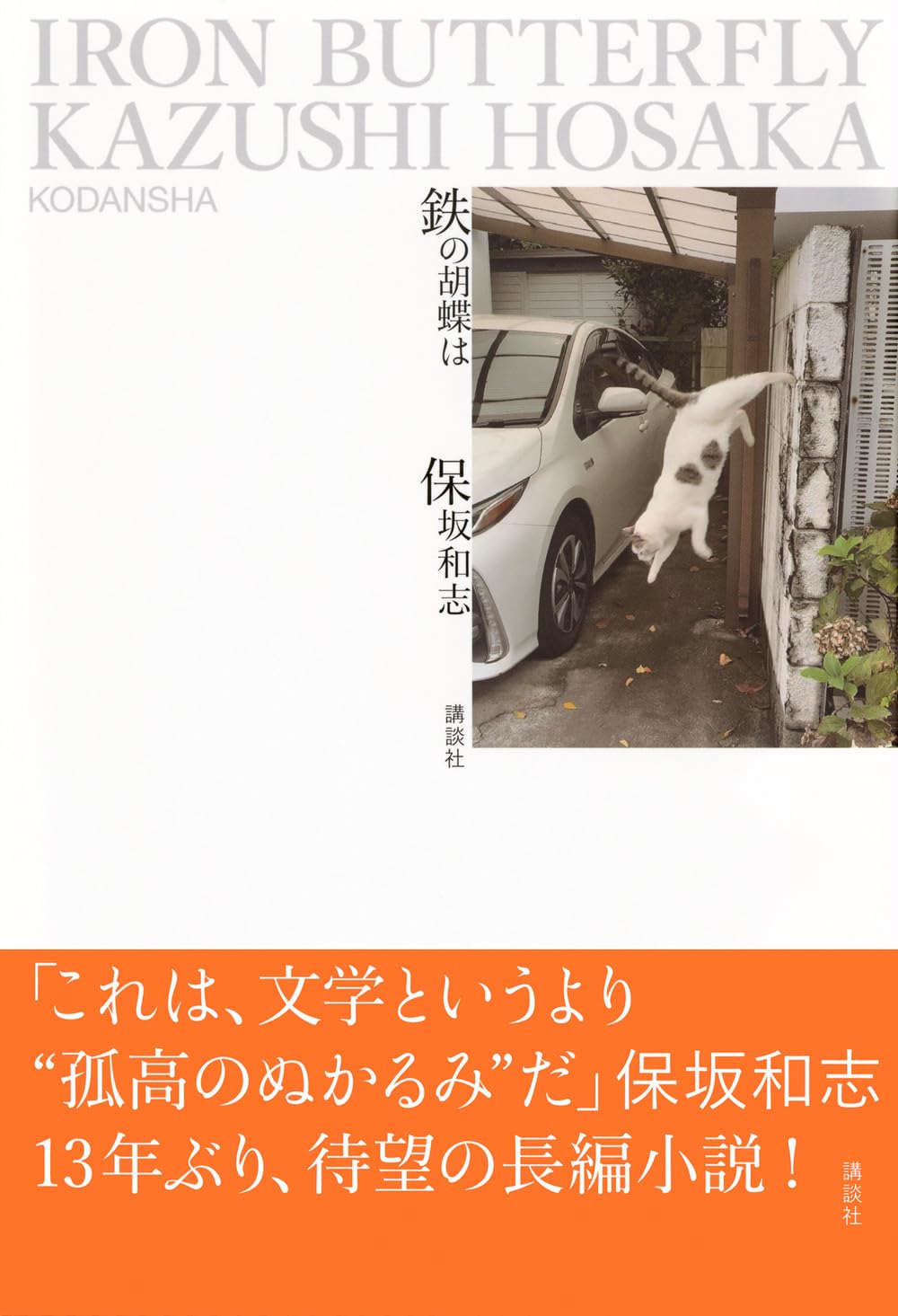 Amazon.co.jp: 保坂 和志: 本、バイオグラフィー、最新アップデート