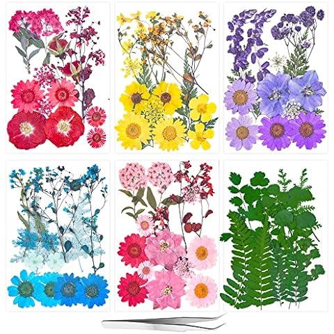 85PCS Dried Pressed Flower for Resin Mold, Natural Real Flowers with Tweezers for DIY Jewelry Candle Soap Vase Making Nail Card Scrapbook Art Craft Floral Decors Cover