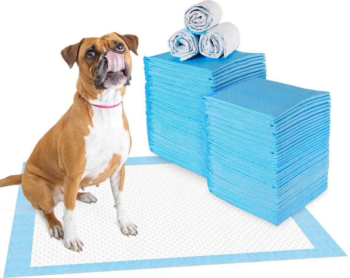 Lot de 100 tapis d'entraînement pour chiens et chiots - Design anti-fuite à 5 couches avec surface à séchage rapide - Bleu - 90 x 60 cm