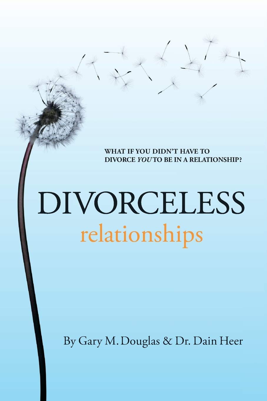 1 017456052 DIVORCELESS RELATIONSHIPS Paperback – 1 February 2013