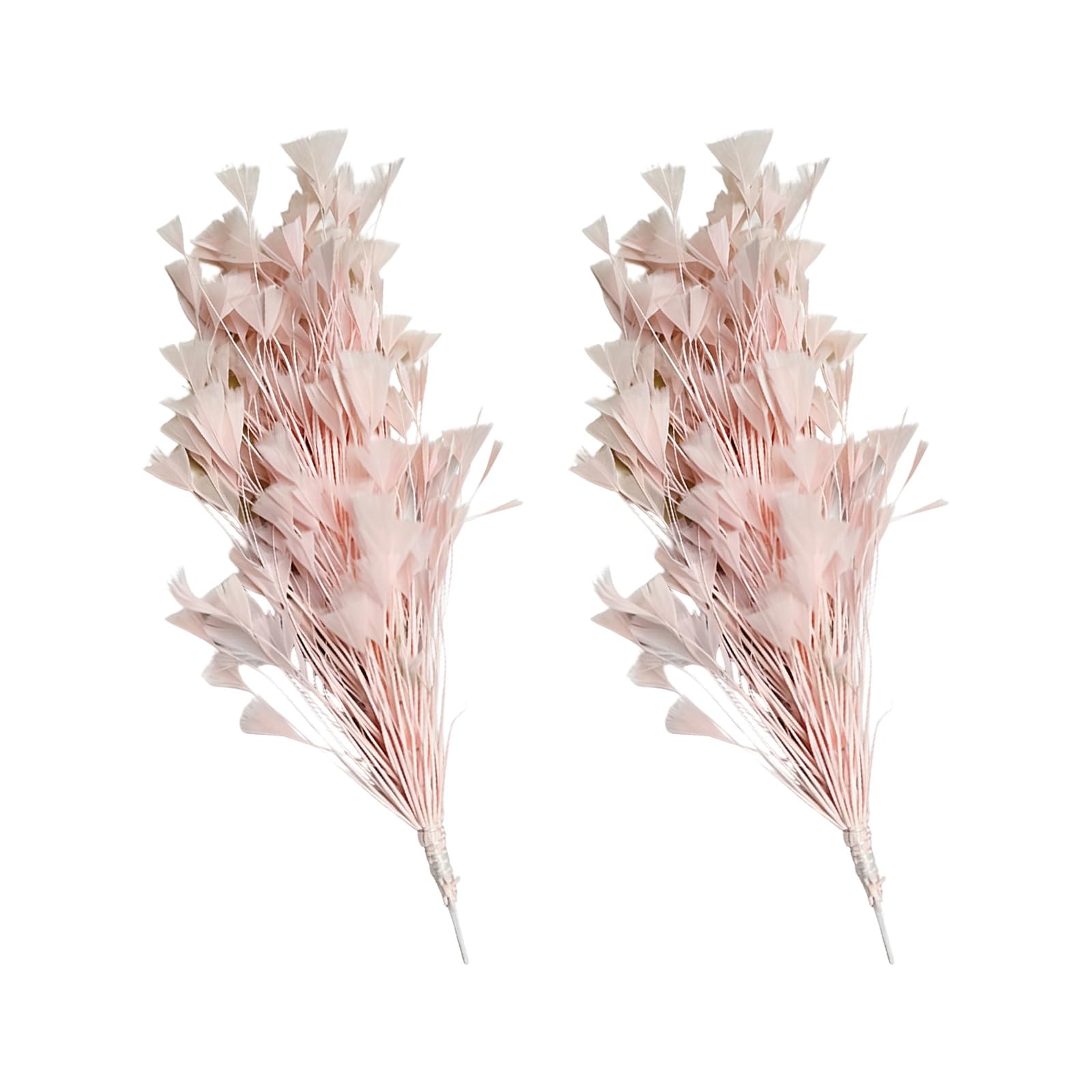 Zeiwohndc B Artificial Plumage Embellishments Set Of 2 For Clothing Sewing And Home Decoration Celebratory Down Embellishments