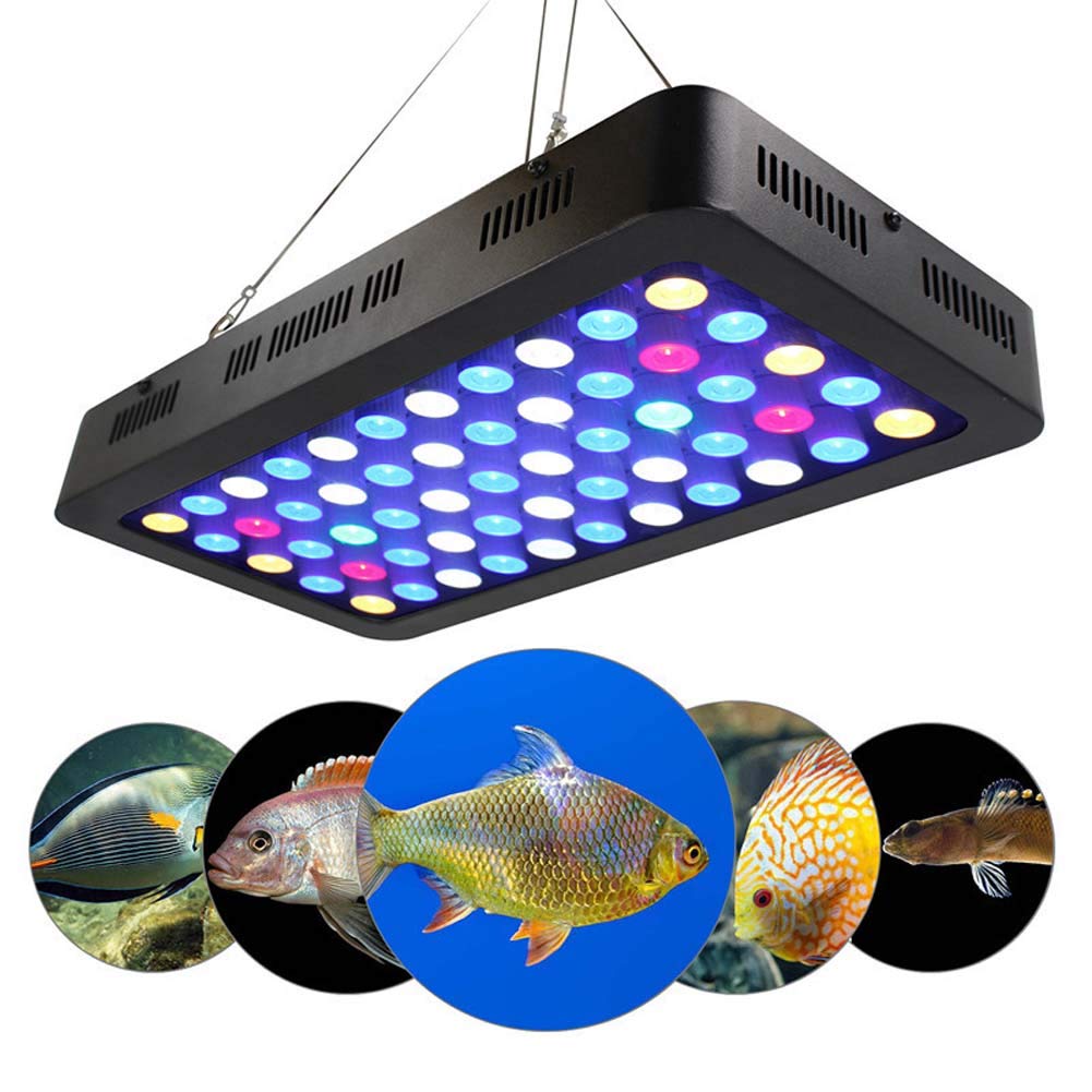 ZTJ-Lighting Luce dell'acquario a LED da 165 W Coral Luce a LED corallina dimmerabile a Spettro Completo, per Acquario di Acqua salata Blu Bianco Illuminazione Acquario Serbatoio di scogliera Marina