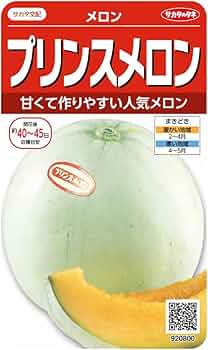 61XaxT5Yx8L._AC_UF350,